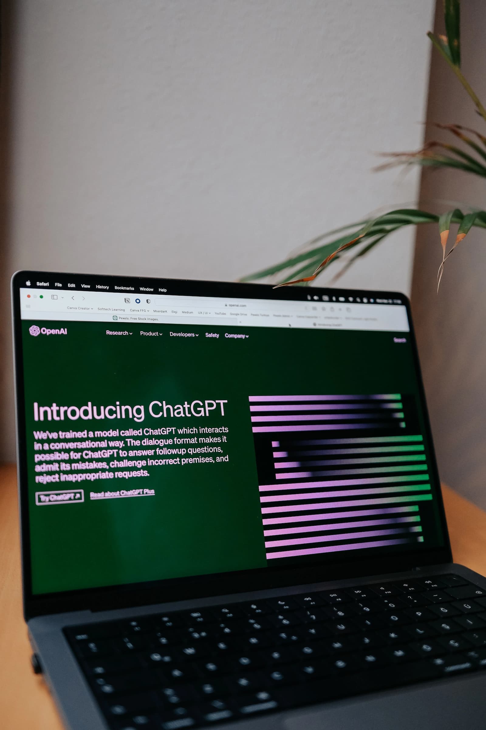 Crumbs project preview